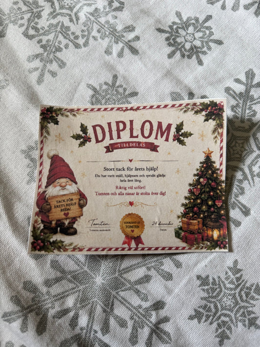 Diplom 1 st